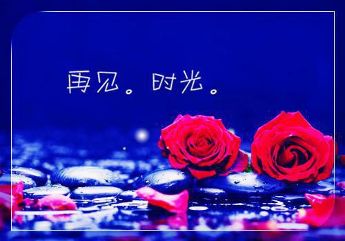 夏晚星傅寒（夏晚星傅寒）全文免费阅读无弹窗大结局_夏晚星傅寒最新章节列表（夏晚星傅寒）