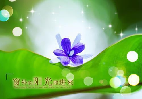 红月疯狗全文免费阅读(红月疯狗小说)全文免费公主阿刀阿斧读无弹窗大结局_ (公主阿刀阿斧)红月疯狗小说免费公主阿刀阿斧读无弹窗最新章节列表（红月疯狗小说）