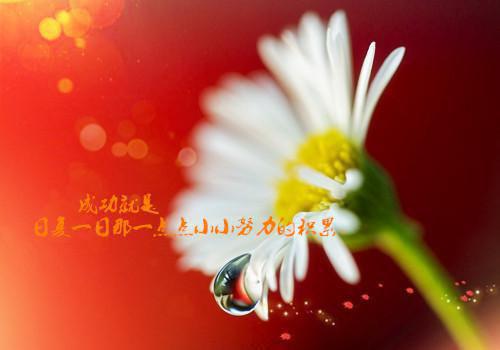 应届毕业生会计个人简历范文