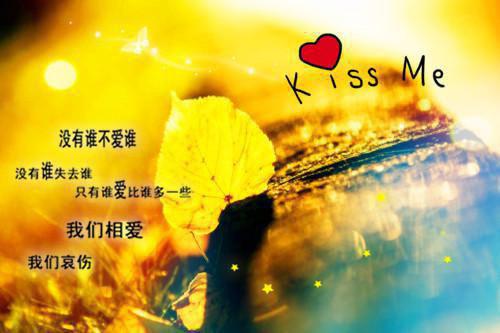 宋之易顾妍李念耀是什么书 宋之易顾妍李念耀免费章节在线阅读