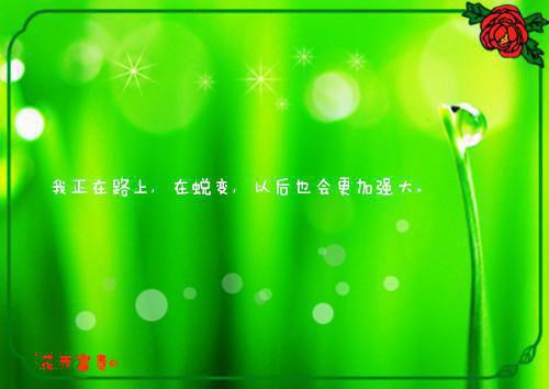 苏轻眉全文免费阅读杨洛苏轻眉小说_苏轻眉全文免费阅读免费阅读