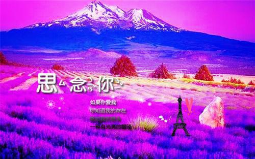 赚钱项目