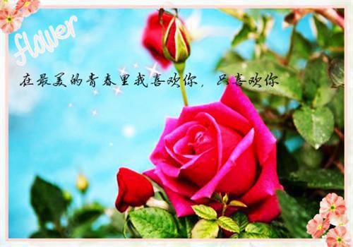 励志影片北京爱情故事影评