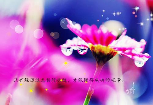 顾佳宁顾南成全文免费阅读（我妈五十五，说她还能生小说）全文免费顾佳宁顾南成读无弹窗大结局_(顾佳宁顾南成我妈五十五，说她还能生小说免费顾佳宁顾南成读全文大结局)最新章节列表（顾佳宁顾南成）