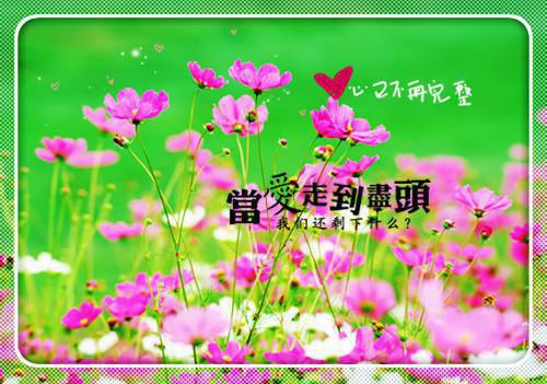 qq人生感悟个性签名