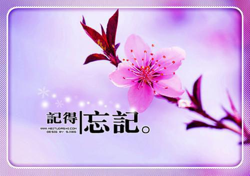 安然顾寒年（安然顾寒年）小说全文免费阅读无弹窗（安然顾寒年）小说全文免费阅读最新章节列表（安然顾寒年）