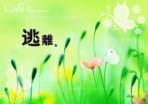 萧峰若澜全文免费阅读（太子丈夫和皇孙儿子，我都不要了小说）全文在线萧峰若澜读无弹窗大结局_（太子丈夫和皇孙儿子，我都不要了小说萧峰若澜）太子丈夫和皇孙儿子，我都不要了小说最新章节列表（萧峰若澜）
