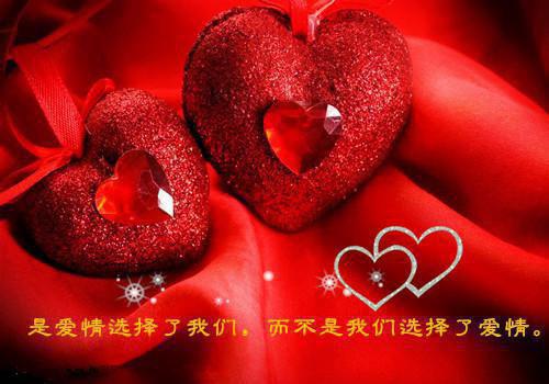 虐待宠物后，白月光和未婚夫一起给我下跪最新章节_虐待宠物后，白月光和未婚夫一起给我下跪全文免费阅读