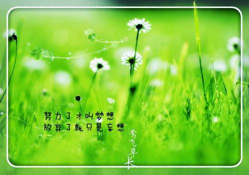 张灵极熏儿最新章节_张灵极熏儿全文免费阅读