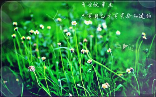 女人掌管经济大权的家庭更幸福