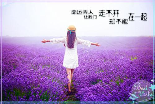 因读书而成功的故事