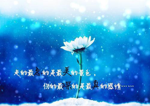 理想励志类作文素材