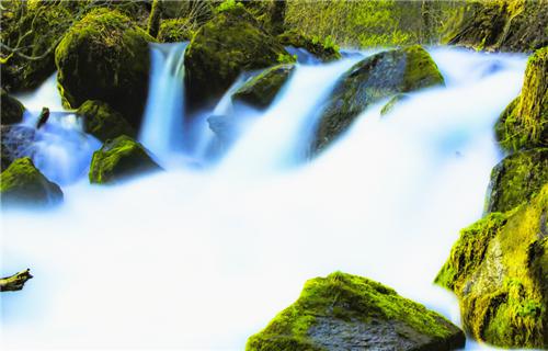 沈未央谢言慕小说免费阅读全文全文小说免费_沈未央谢言慕精彩阅读