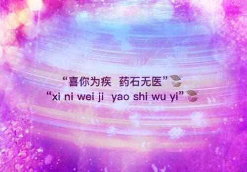 母亲失踪后，我绑架了整个养老院顾源林娇完结版全章节阅读
