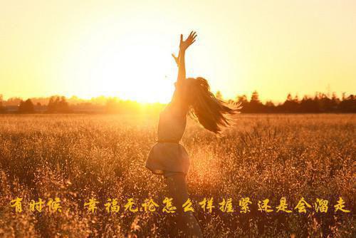 医婿临门最新章节_医婿临门全文免费阅读