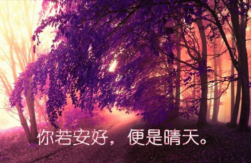 (完整版)沧月顾言小说免费阅读无广告