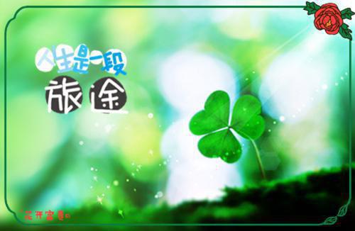 完了！废柴她成了仙界掌门林允卿白素素小说_完了！废柴她成了仙界掌门免费阅读