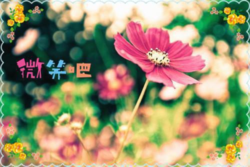 叶七绝叶洛灵最新章节_叶七绝叶洛灵全文免费阅读