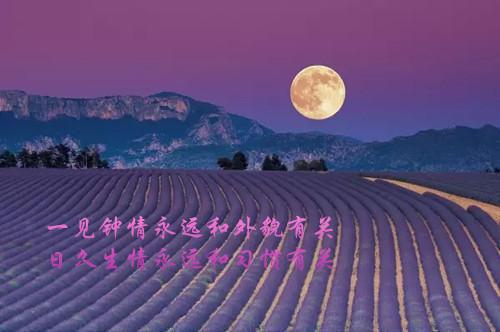 浪漫令人感动落泪的爱情故事