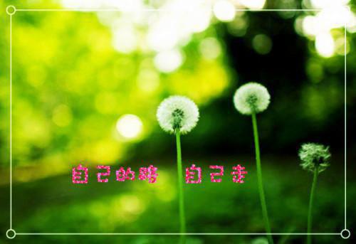 文员应聘的简历范文