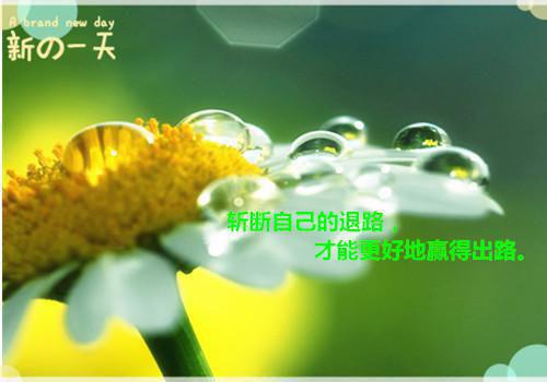 许知意裴寂白免费阅读第一章 许知意裴寂白大结局