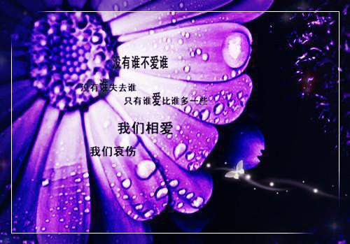 管月褚宇遥小说名字 管月褚宇遥全文免费阅读