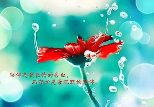 桑虞陆汌(桑虞陆汌）小说全文免费阅读无弹窗大结局_（桑虞陆汌）桑虞陆汌小说全文免费阅读最新章节列表（桑虞陆汌）