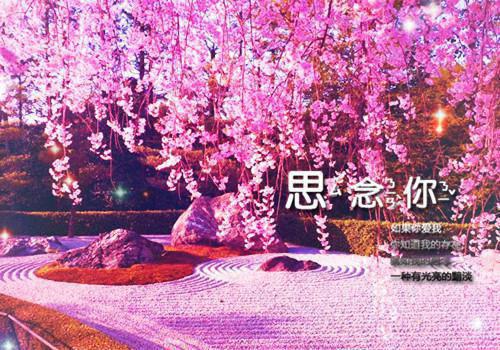 总裁别虐了,夫人要嫁人了(姜晴叶景辰小说全文阅读)完本结局总裁别虐了,夫人要嫁人了