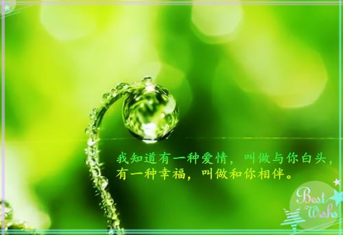 2023职场励志故事