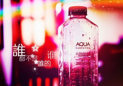 产品总监求职简历表格