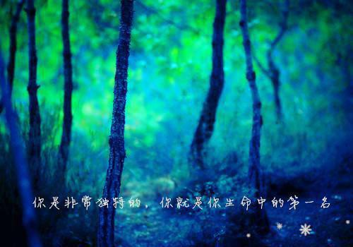 哄孩子睡觉的童话故事三篇