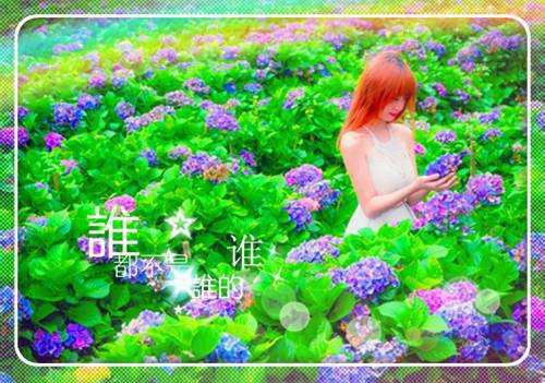 成就孩子一生的寓言故事