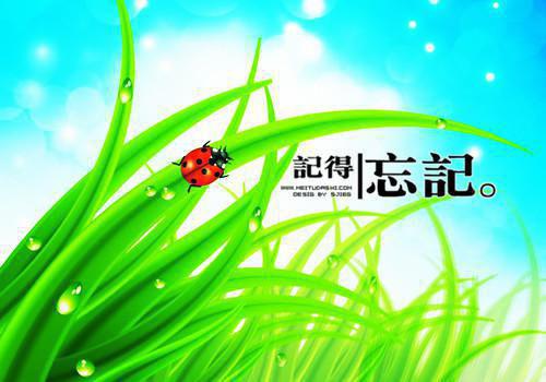 霍太太她又奶又萌：温知羽霍司砚全文免费阅读无弹窗大结局_(温知羽霍司砚)霍太太她又奶又萌：温知羽霍司砚最新章节列表（温知羽霍司砚）
