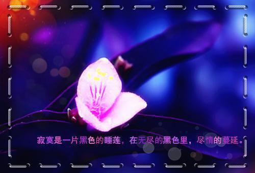 幼儿教师人生感悟