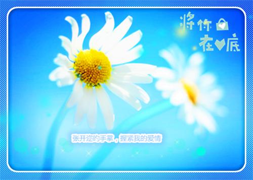 童养夫心系青梅？重生后我不嫁了最新章节_童养夫心系青梅？重生后我不嫁了全文免费阅读