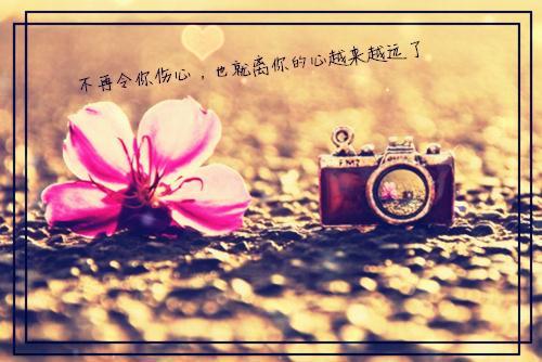 许音程俊最新章节_许音程俊全文免费阅读