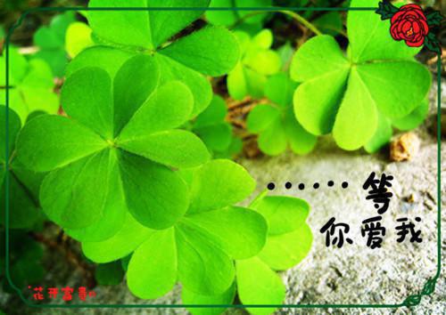 穿越地球当大佬林书墨抖音最新热点小说，穿越地球当大佬林书墨小说最新章节阅读