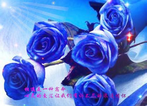 人生感悟散文：包容是一种智慧