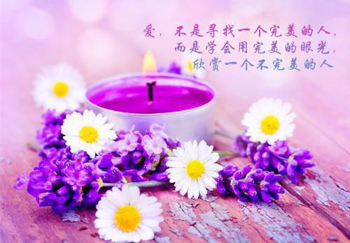 投资顾问个人简历