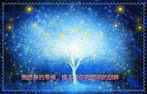执意温馨（顾小小白淳）全文免费阅读无弹窗大结局_(顾小小白淳)执意温馨最新章节列表（顾小小白淳）