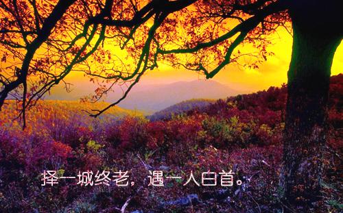 小学英语短篇寓言故事