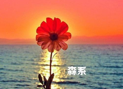 关于成长的励志故事