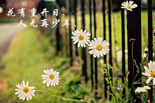 孟听晚季屿川：全文+后续+结局全文免费阅读无弹窗大结局_(孟听晚季屿川)最新章节列表孟听晚季屿川：全文+后续+结局
