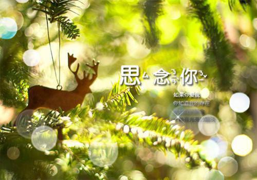 营养师个人求职简历范文3篇