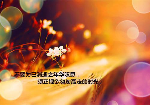 人力资源管理应聘的简历范文