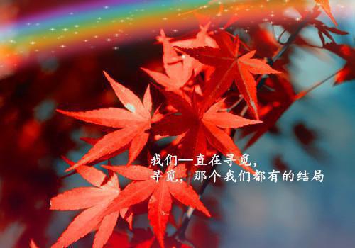 贵妇操劳而死，重生后不扶贫了最新章节_贵妇操劳而死，重生后不扶贫了全文免费阅读