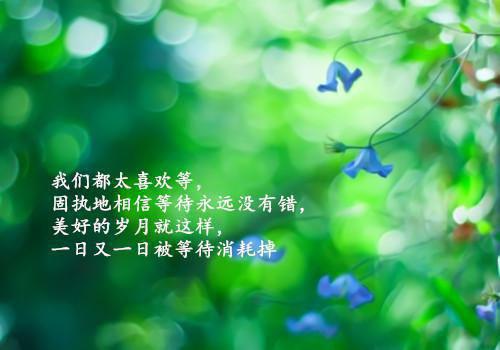 国外名人的经典励志故事都有哪些
