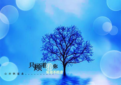 姓氏身份苏美美谢二柱全文免费阅读（姓氏身份小说）全文免费苏美美谢二柱读无弹窗大结局_姓氏身份小说苏美美谢二柱最新章节列表（苏美美谢二柱）