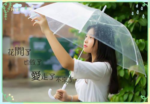 专科会计应聘简历范文