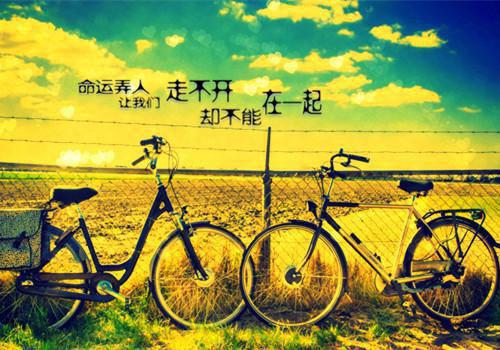 全网独家(爱如冬霜：在雪落时散场：全文+后续)夏添季斯琰完整章节已完结阅读_爱如冬霜：在雪落时散场：全文+后续最新章节列表（夏添季斯琰）